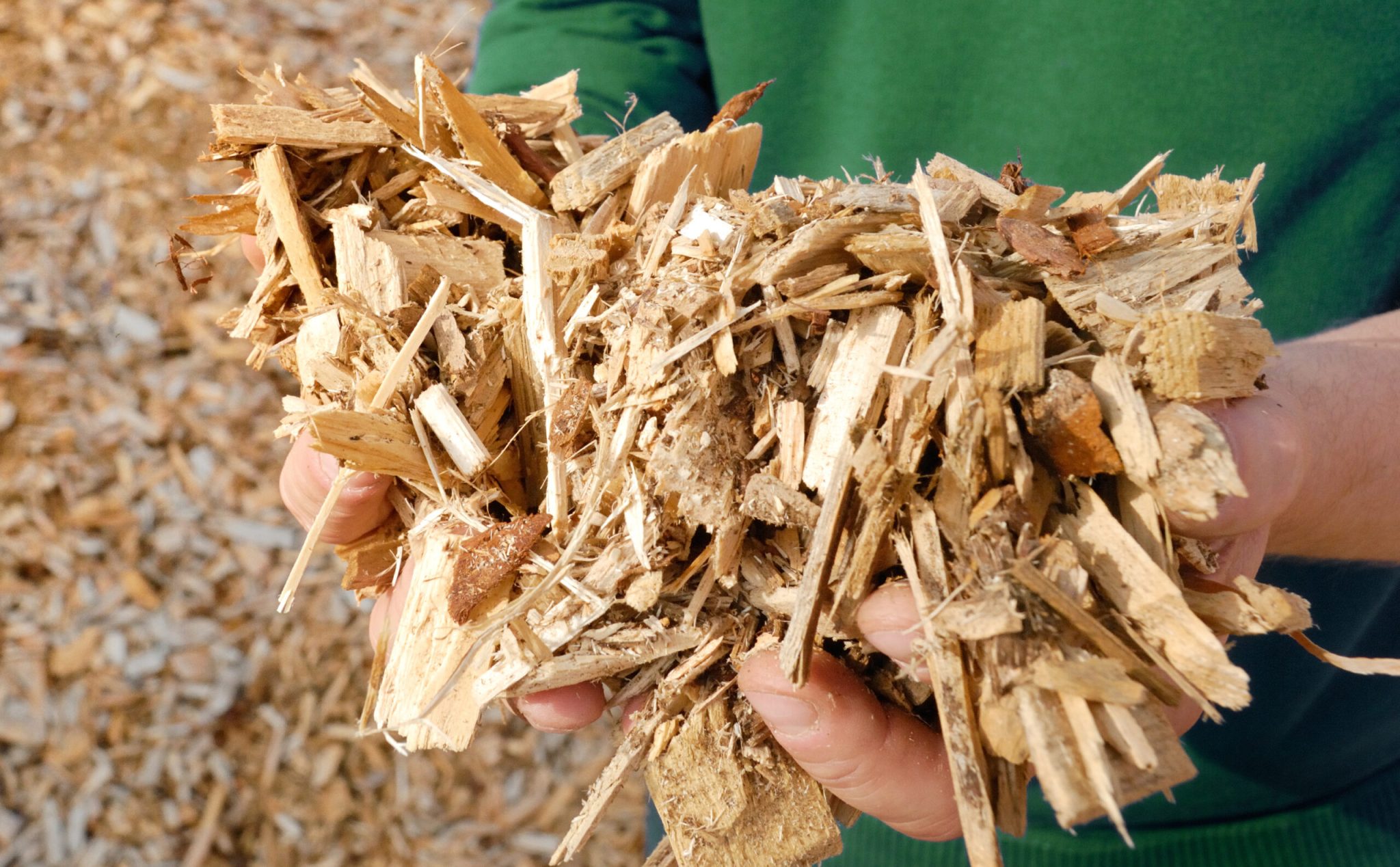 Hand mit Holz Hackschnitzel